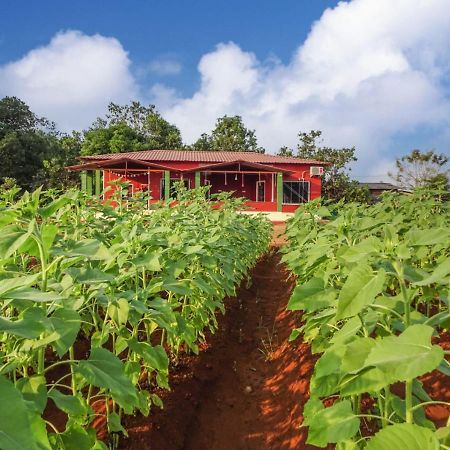 BhomAarya Farm住宿加早餐旅馆 外观 照片