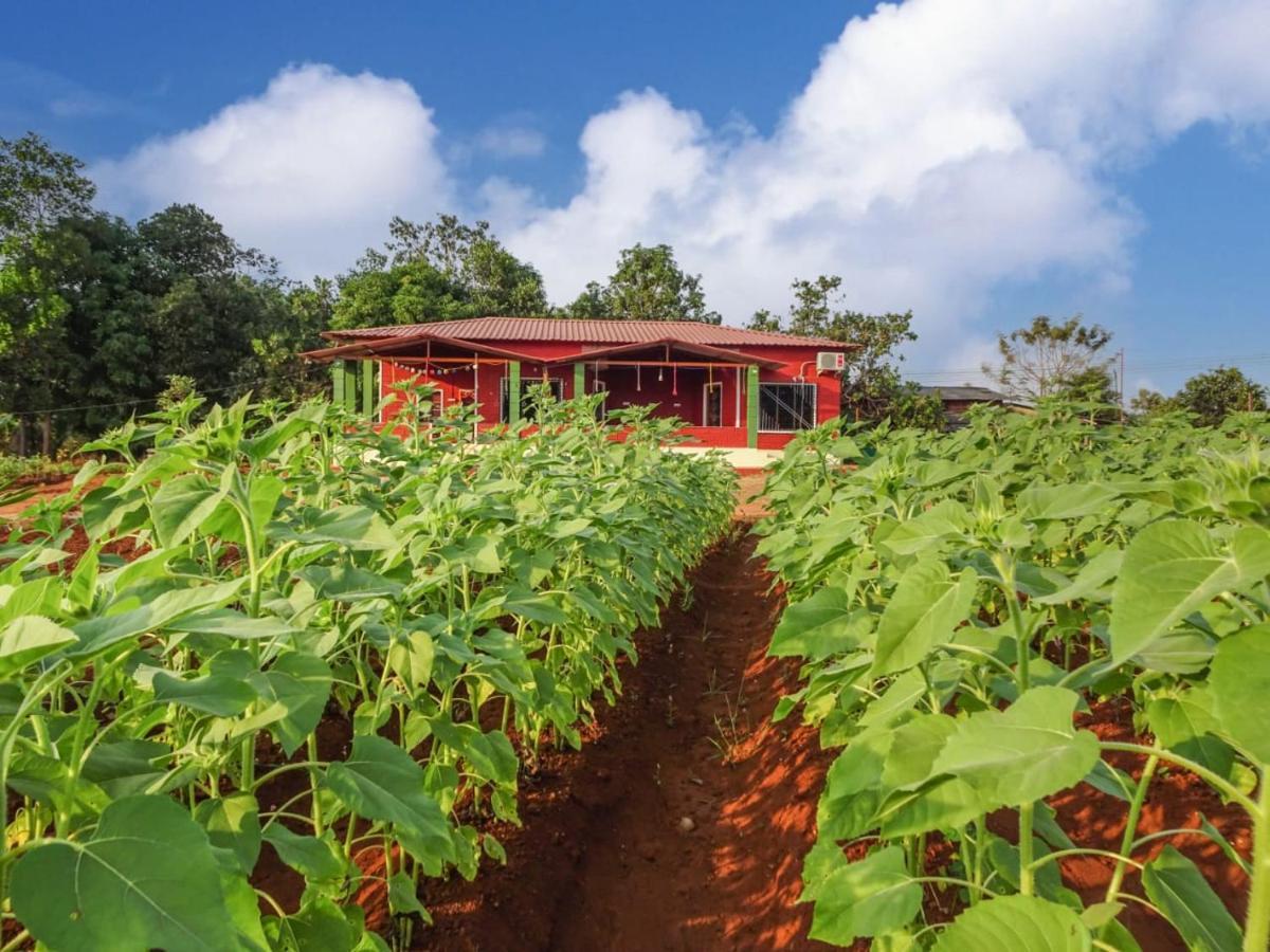 BhomAarya Farm住宿加早餐旅馆 外观 照片